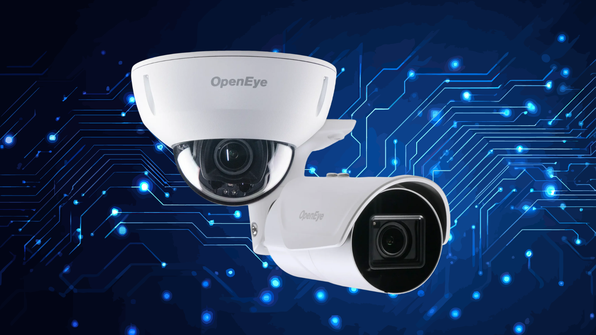 BlueEye Analytics- Enterprise