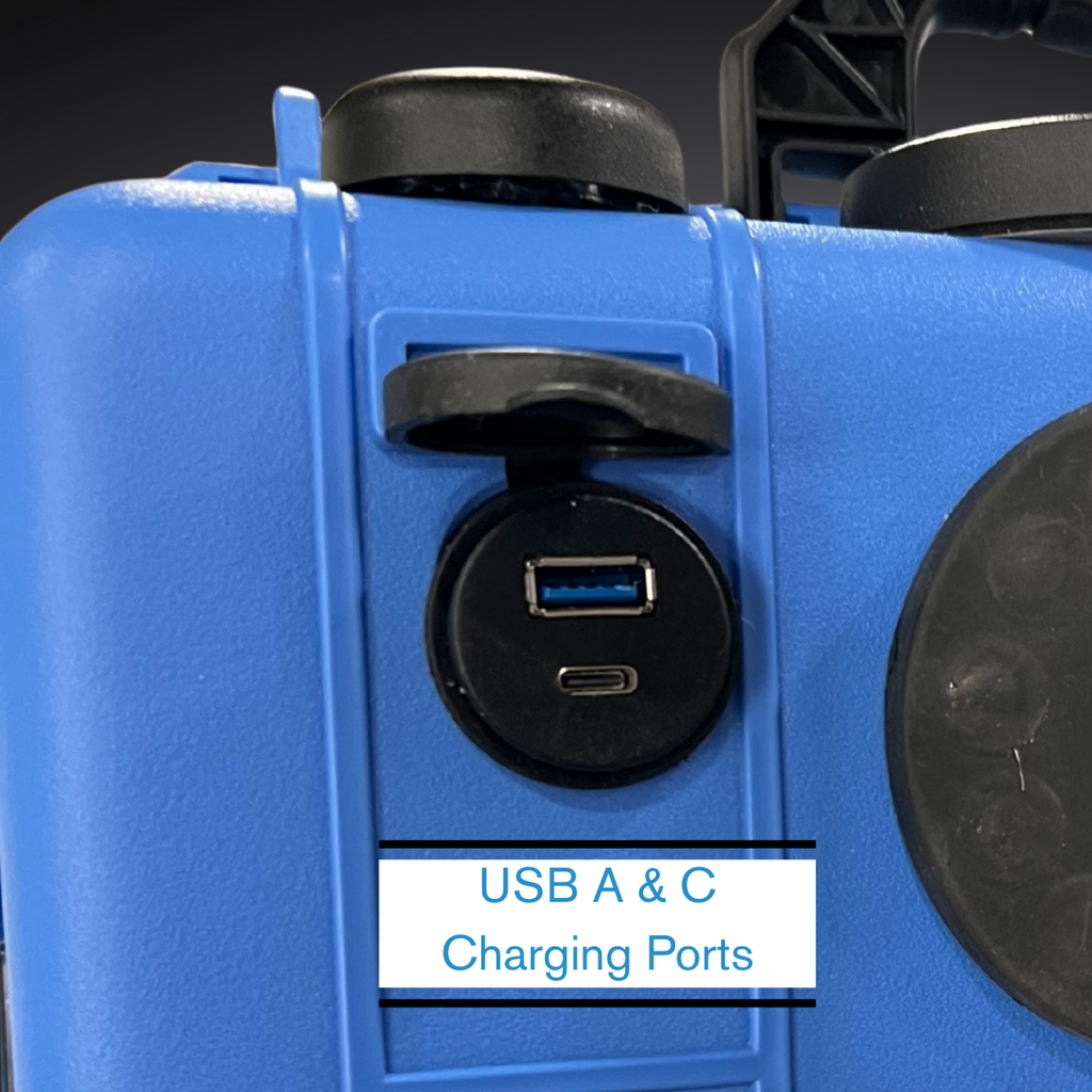 BlueGO Pro